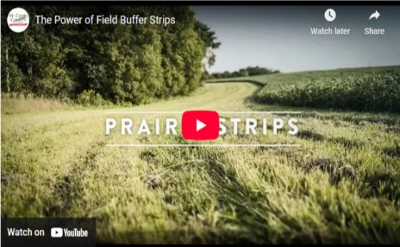 Link to Prairie Strips Video