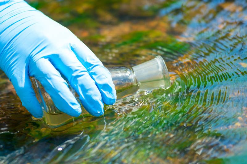 Person collecting a water sample.