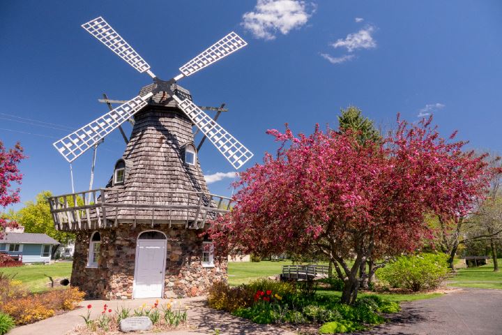 Baldwin Windmill Park with Blossoming Tree